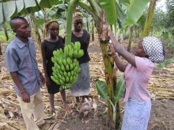 Bild: Ausbildung auf der Farm