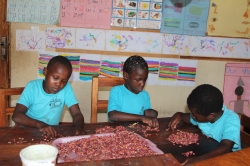 Bild:  Kinder sortieren Bohnen in der Ergotherapie
